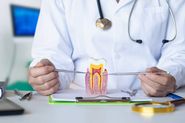 Best Emergency Dental Care for Broken or Chipped Teeth in Greenhills, OH
